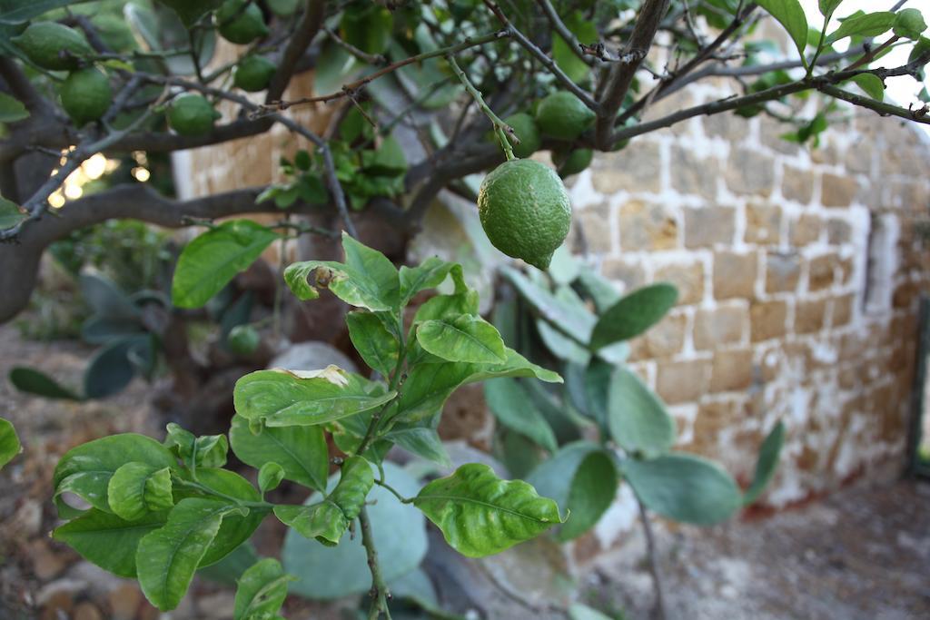 ריאלמונטה Villa Del Saraceno מראה חיצוני תמונה